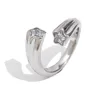 R5234_Argent