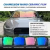Película Camaleón