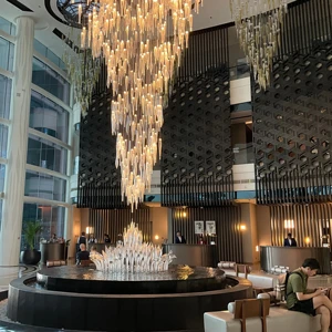 ECOJAS Crystal Customized Project Chandelier for Hotel Lobby Nosocomium Shopping Mall New Lighting