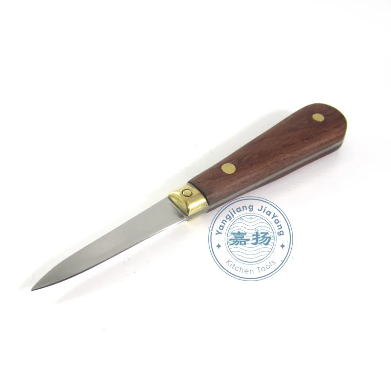 JYKTO-A020-04 (4)