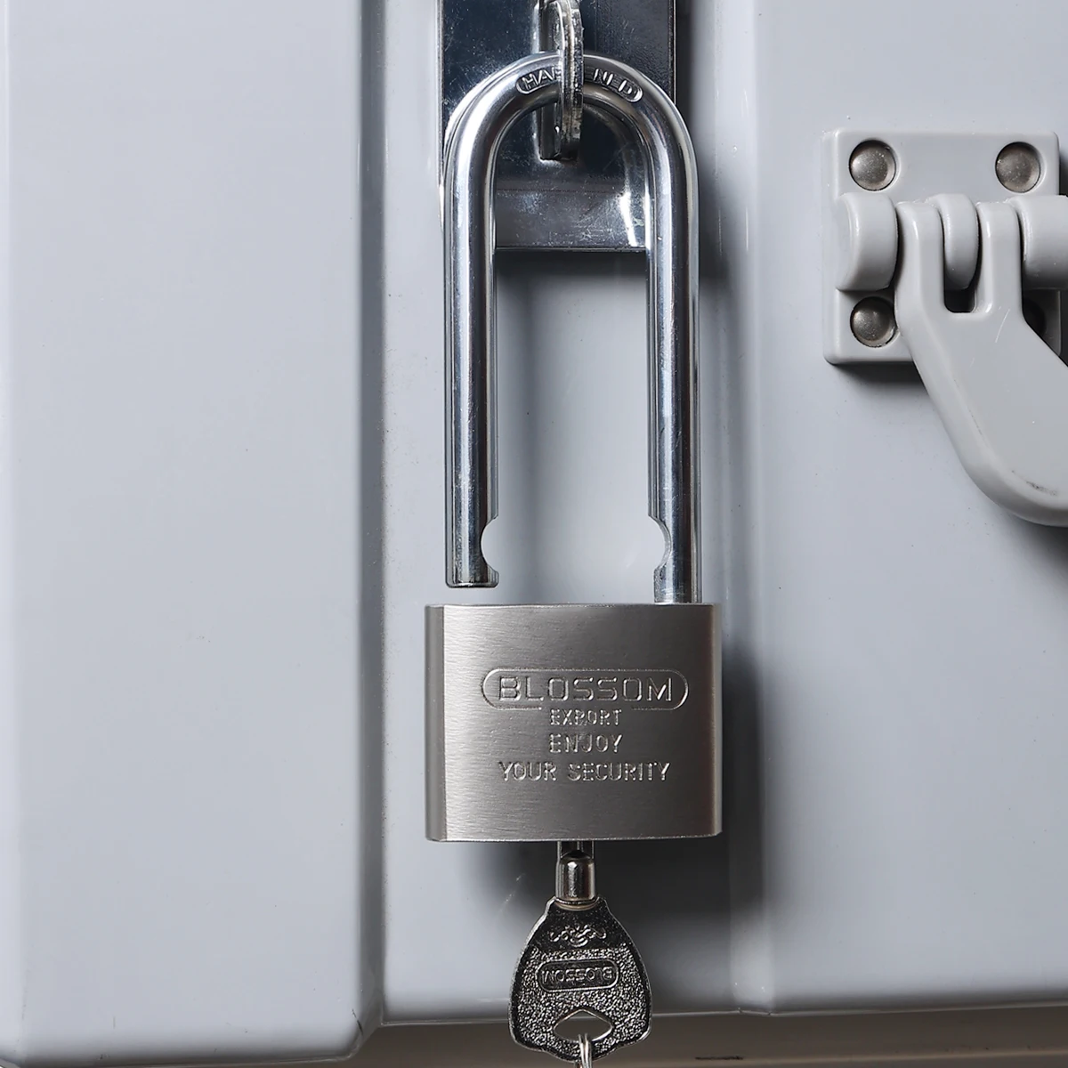 LS32L 60MM Blossom Lock in China Pad Lock with Master Key Nickle Plated  Heavy Duty  Top Security Iron Big Padlock