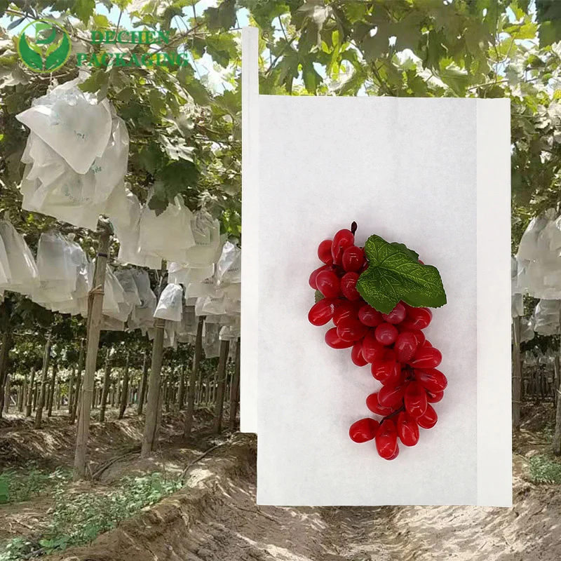 Sacs Tha?lande Kraft mangues Raisin Protection sac en papier dans la plantation de fruits