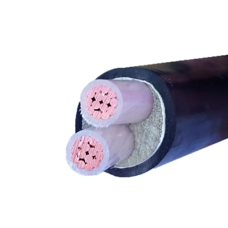 Hotelling 0.6/1kv 2 core Copper Armoured Power Cable with XLPE Insulation 100m Low Voltage Underground and Outdoor