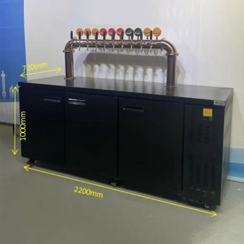 Wine Bar Draft Beer Chiller Beer Cooler Beer Dispenser Machine With