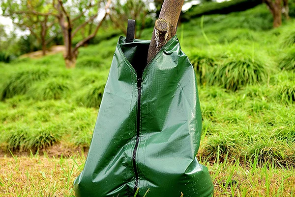 Tree Bag (2).jpg