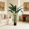 Green 160cm