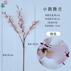 Pink Dancing Orchid DG