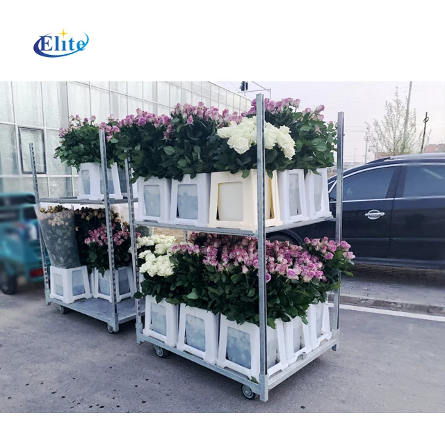 Полная площадка садовый пластиковый голландский демонстрационный цветочный ковш