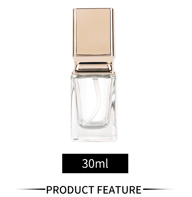 Luxury Empty 30ml Square Clear Frosted Cosmetic Lotion Glass Liquid Foundation Bottle With Pump manufacture