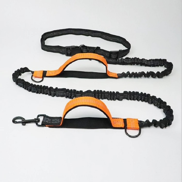 XL Green Hands-Free Dog Leash with Adjustable Waist Belt - Shock Absorbing Bungee Lead main image 0