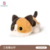 Three-flower cat 40cm doll