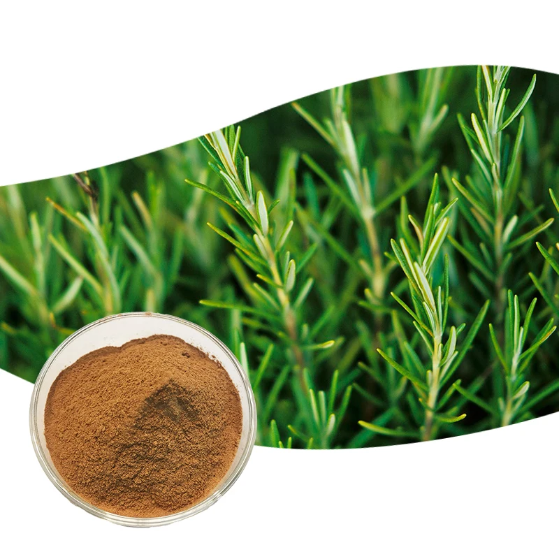 natural rosemary leaves extract rosmarinic acid price - buy