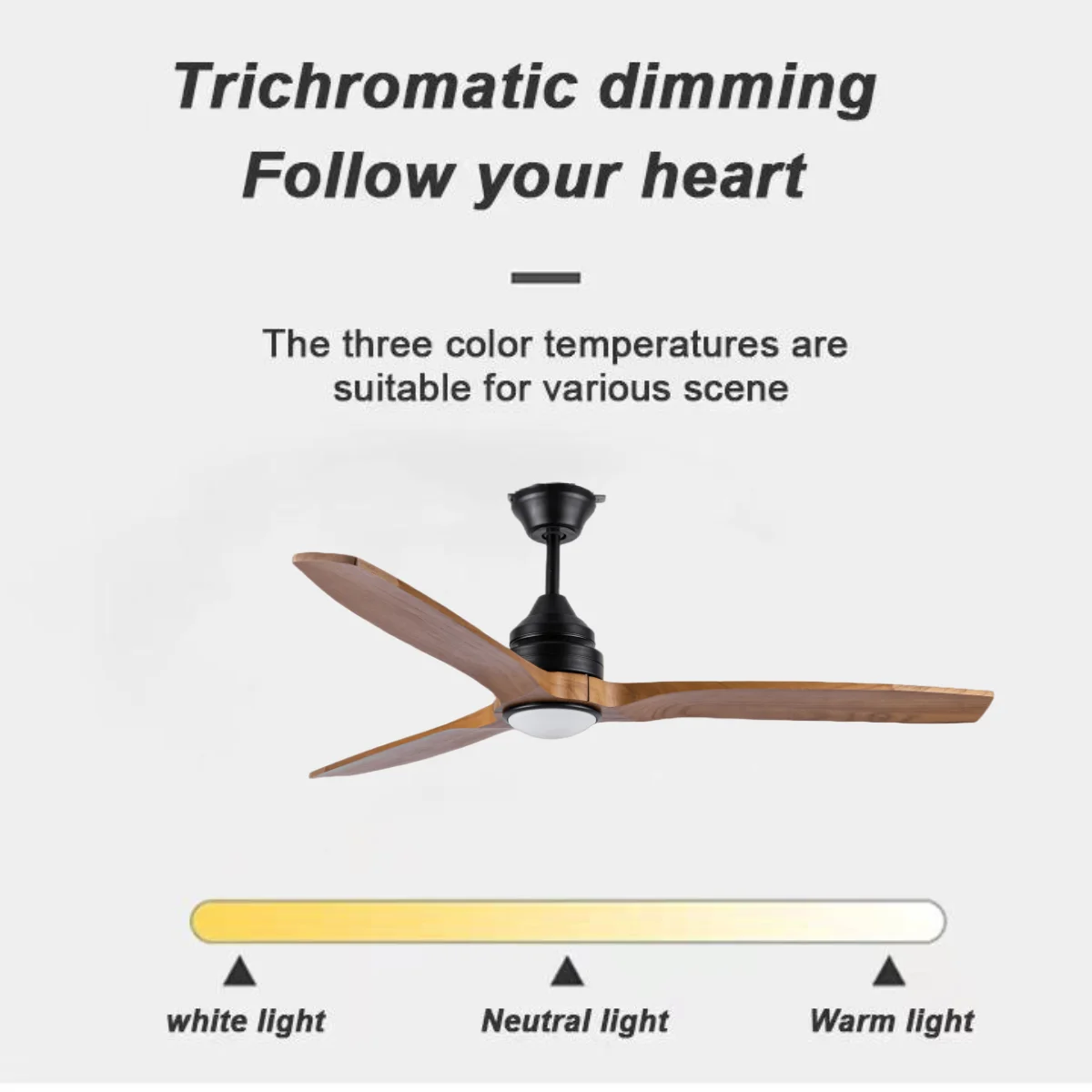 Ceiling Fan, ZS-56-23021BK, 56'' - detail 4