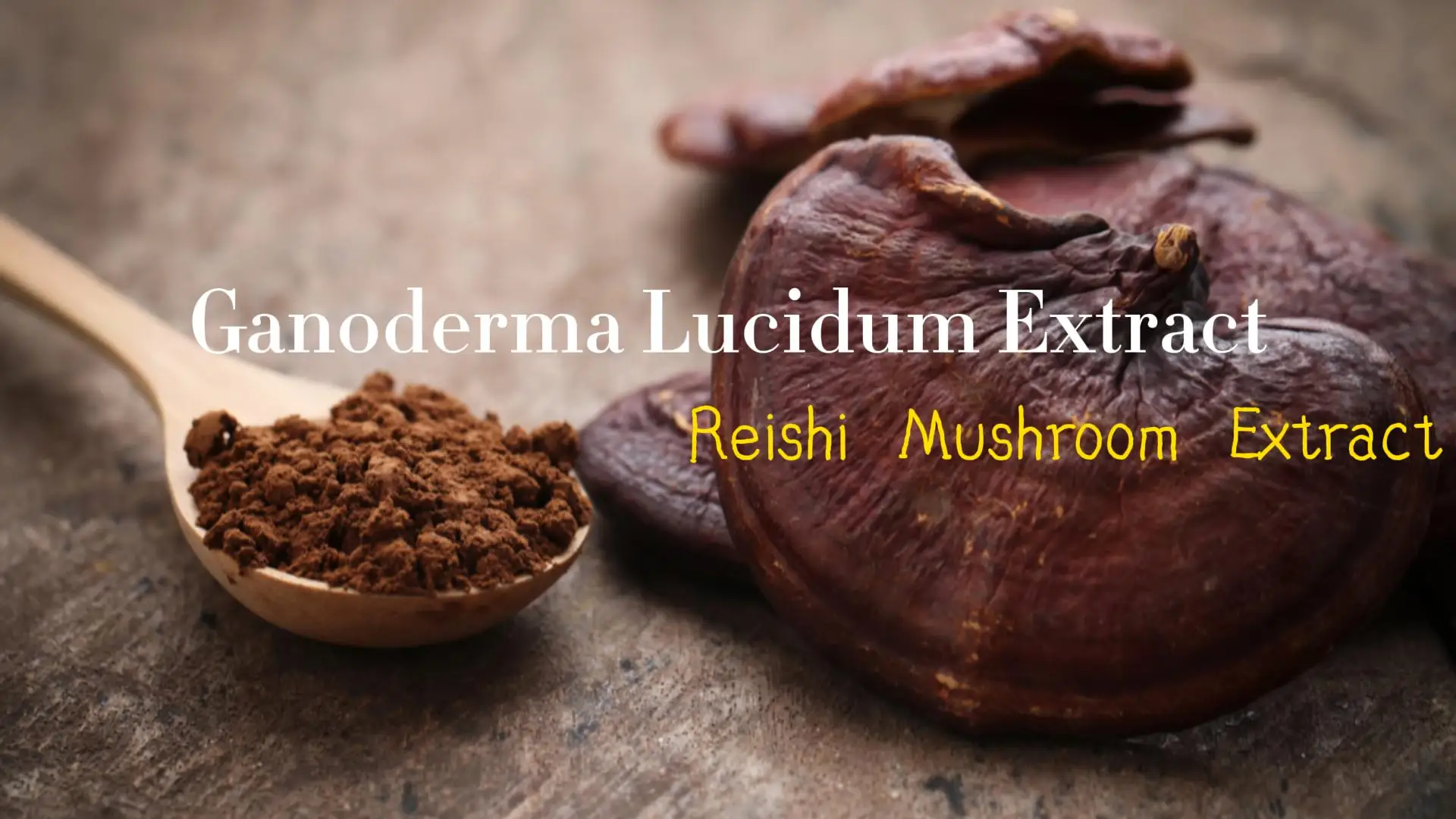 Pincredit Organic Reishi Mushroom Extract Bulk Ganoderma Lucidum ...