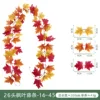 26 Maple Leaf - 14 - 45