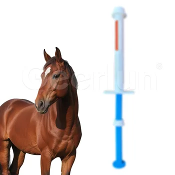 OEM Equine Probiotic Supplement for Digestive & Immune Support Apple Flavored Horse Probiotic Paste