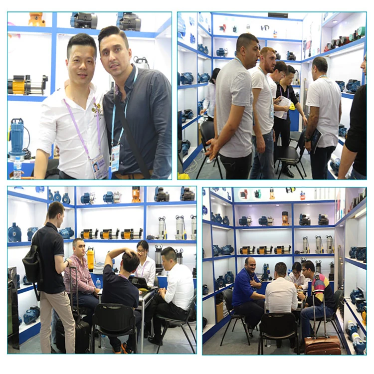 Qdx Low Flow 1 Inch 160-220V 0.55Kw 0.75 Hp 20M Head Clean Water Electric Pumps Submersible Tube Well Water Pump