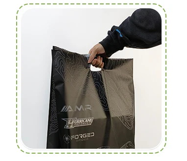 Manufacturer Wholesale Custom Logo High End Strong Toughness Shopping Die Cut Handle Bag With Flexiloop Handle Die Cut Bag details