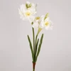 Bianco-1