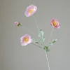 Rosa chiaro