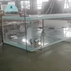 transparent