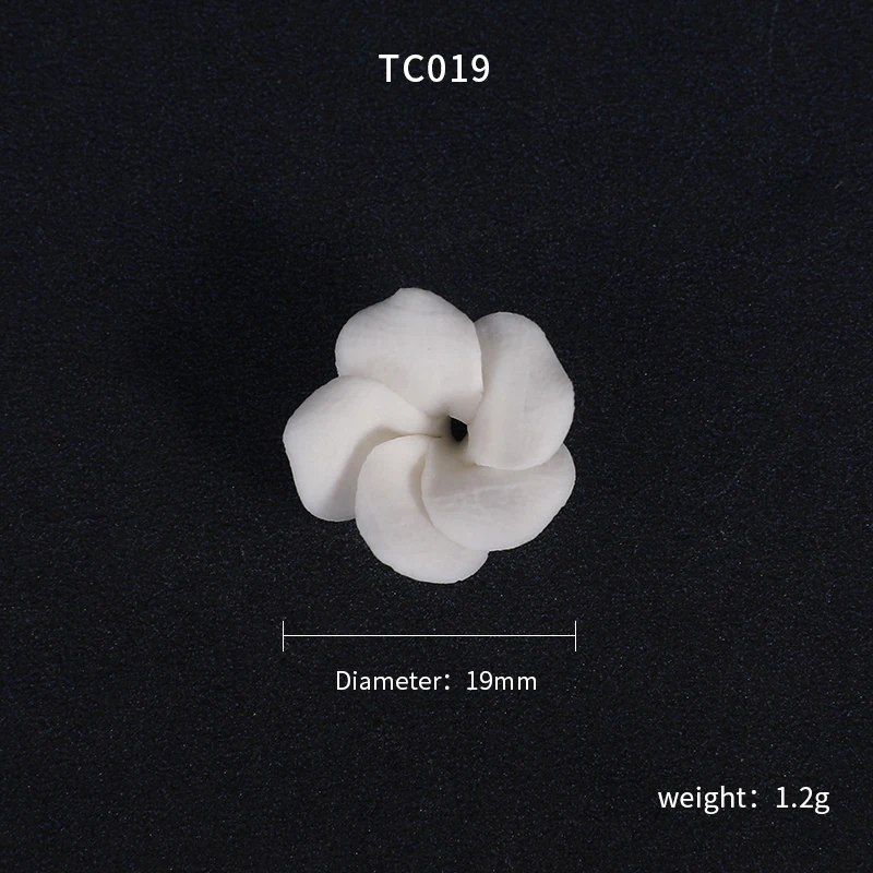 TC019.JPG