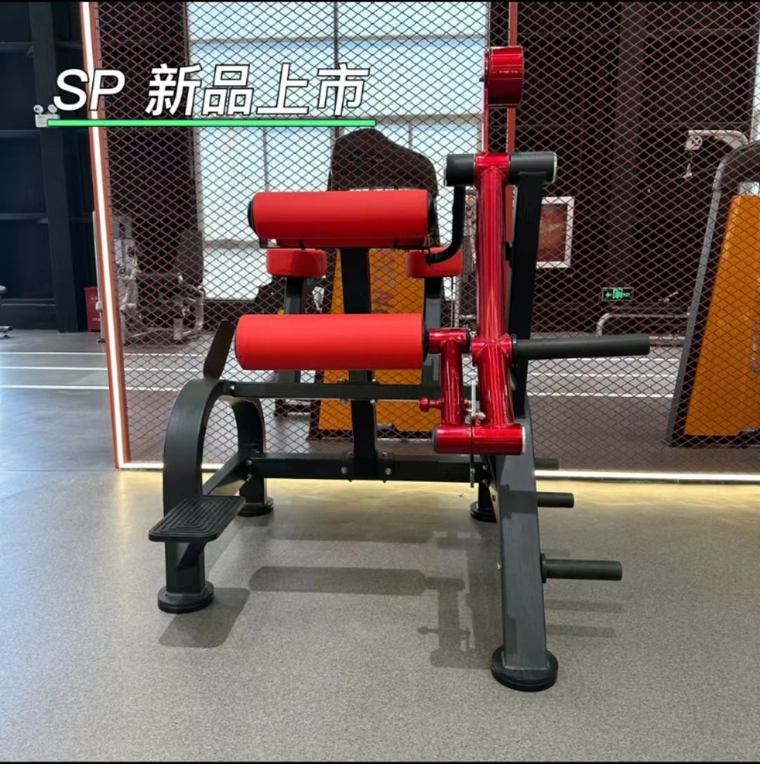 PANATA Reverse Hyperextension Strength Training Machine