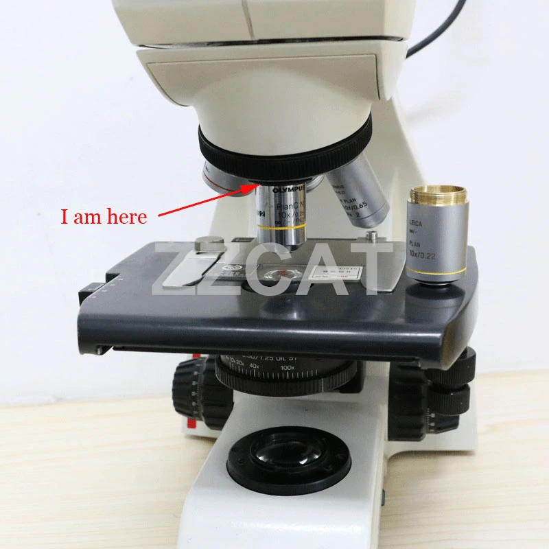 15mm Black RMS Female to M25x0.75 Male Thread Microscope Adapter