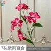 Lirio Bauhinia de 7 cabezas LYS Rojo