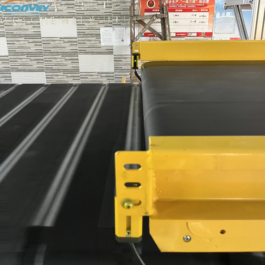 Iconvey Conveyor Belt Sorting Machine Parcel Machine Sorted Parcel ...