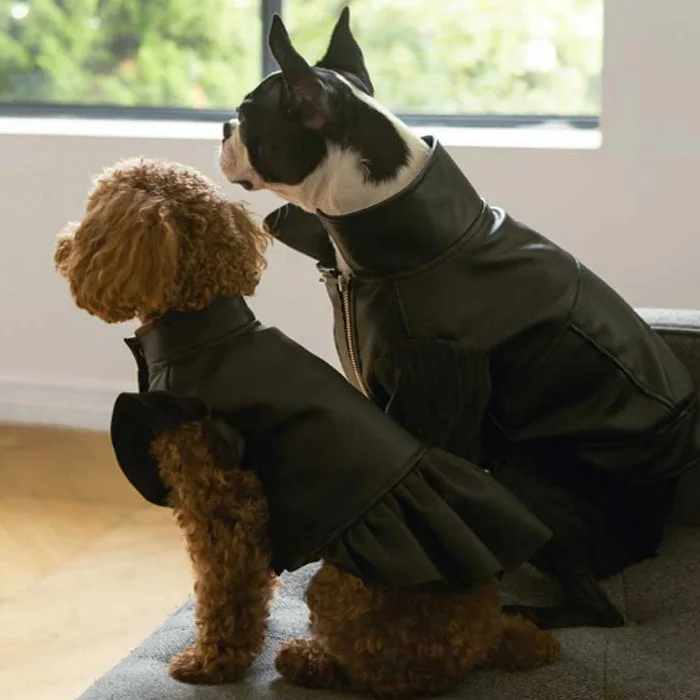 Fashion Spice Girl Biker Leather Pet Suit Dress Jacket Windbreaker Dog Clothing Coat