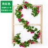 1 bar of 20 French roses (magenta)