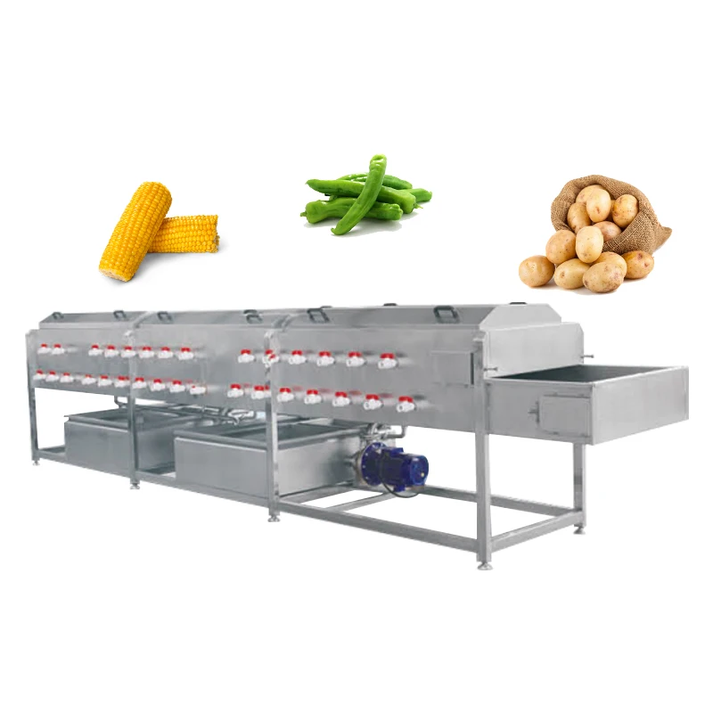 Electric Multifunction Bubble Celery Washing Machine Red Chili Washing Machine Cabbage Leaf Vegetable Washing Machine