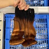 Ombre Huevo Curl
