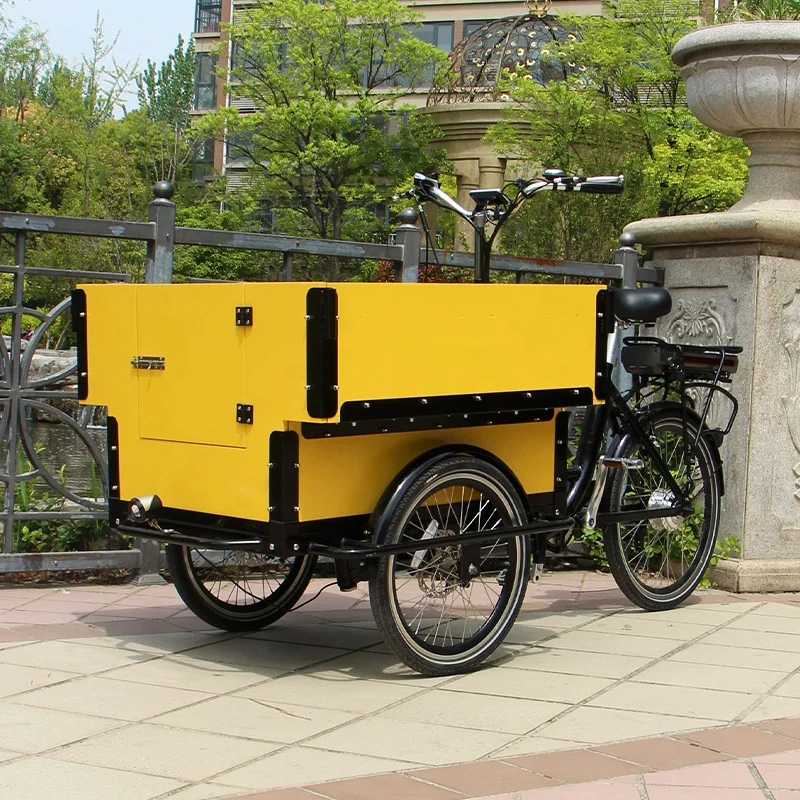 Front Loading Side Open Carriage Tricycle Lastenfahrrad Three Wheel Bike Electric Tricycles Cargo Bike Electric Bicycle