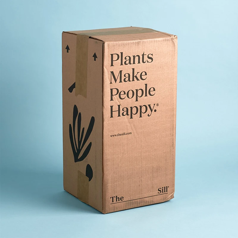 Recycled Rectangle Flower Custom Size Printing Live Corrugated Packaging Potted Indoor Plant Paper Boxes