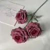 Diamond Rose