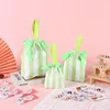 Green Medium-sized gift bag