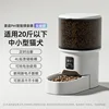 Basic Button Model [4L Large Capacity] - Translucent Black