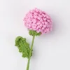 กิ่งดอกเบญจมาศปิงปอง-กุหลาบสีม่วง