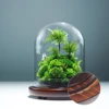 Green 6#