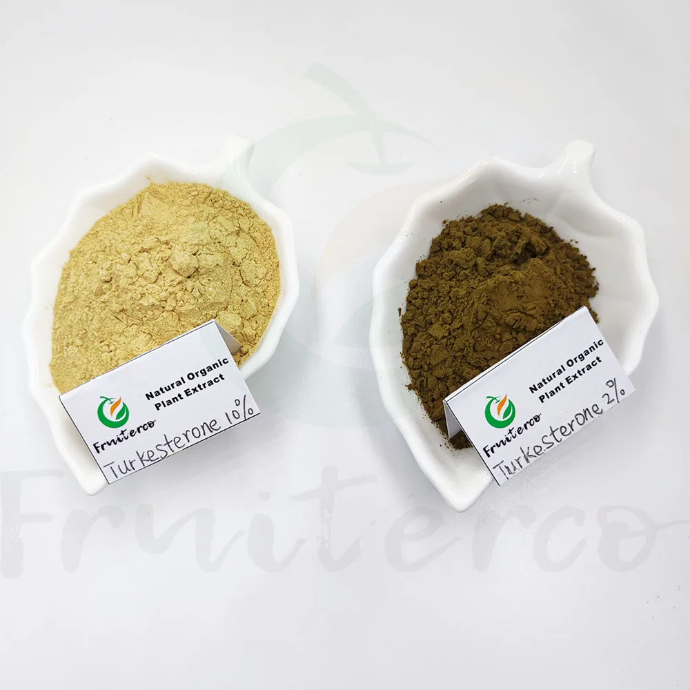 Wholesale Bulk 100 Natural Pure 2 10 Ajuga Turkestanica Extract