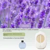Lavende