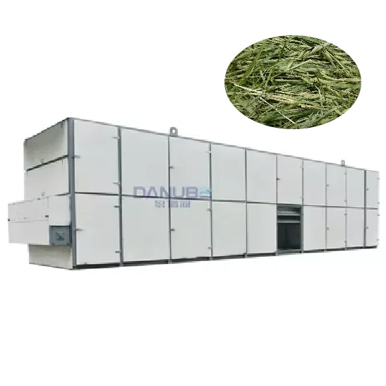 Large Scale Continuous Mesh Belt Dryer for Drying Grass Moringa Leaf Vanilla Machine for sale