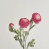 Rose madder
