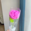 #10 crochet rose