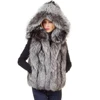 Silver fox colour