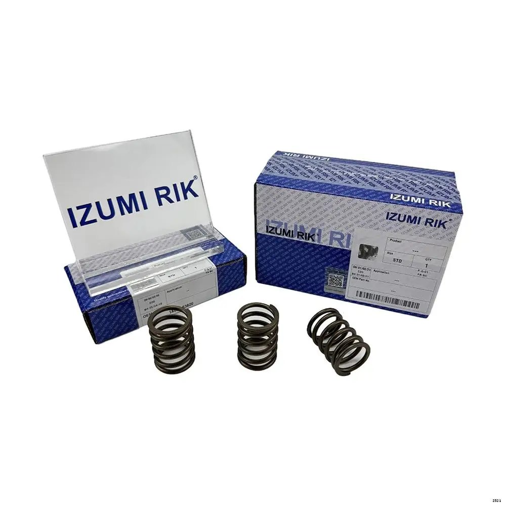 High Quality Engine Parts IZUMI RIK Spring for Changchai ZN390