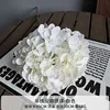 Anna's Hydrangea - White