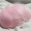 colorful Light pink